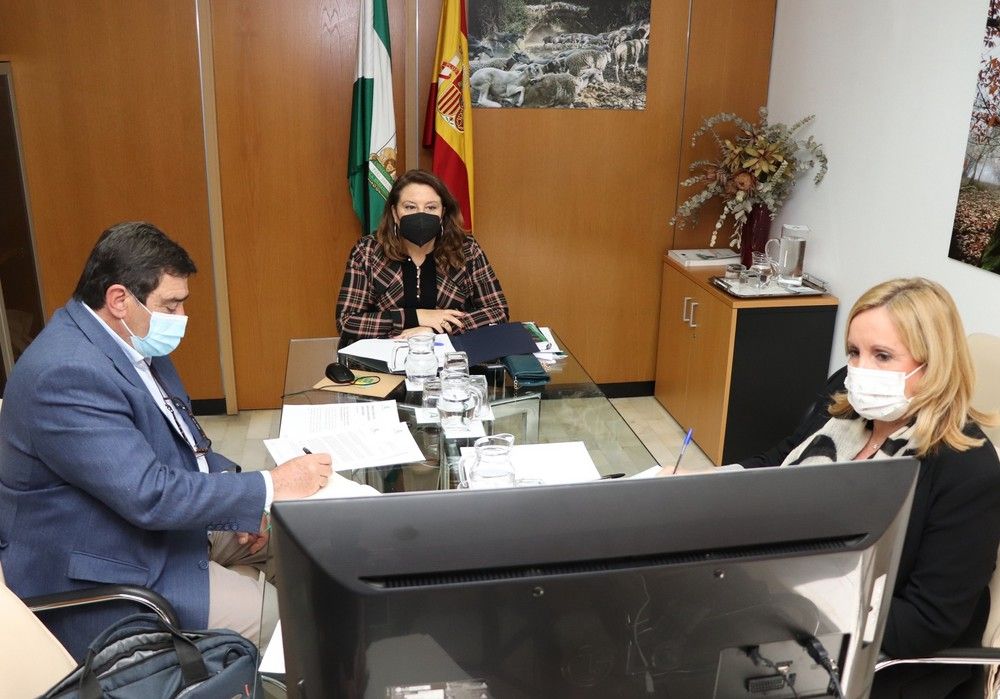 Andalucía defiende ante el Gobierno la necesidad de una bajada de impuestos que dé oxígeno al sector agrario ante unos costes desorbitados