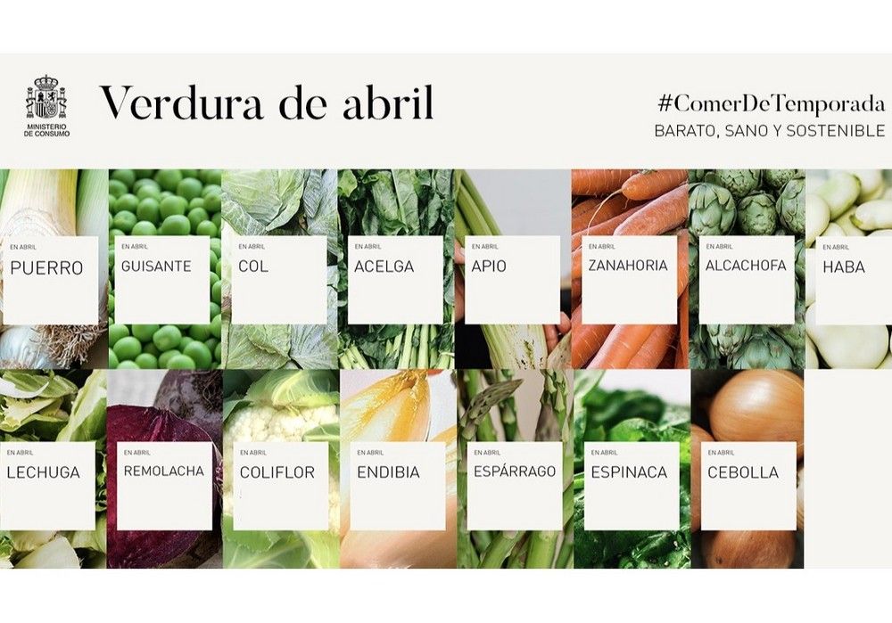 HORTYFRUTA asegura que Consumo sigue con “su total ignorancia” al sector hortofrutícola bajo invernadero