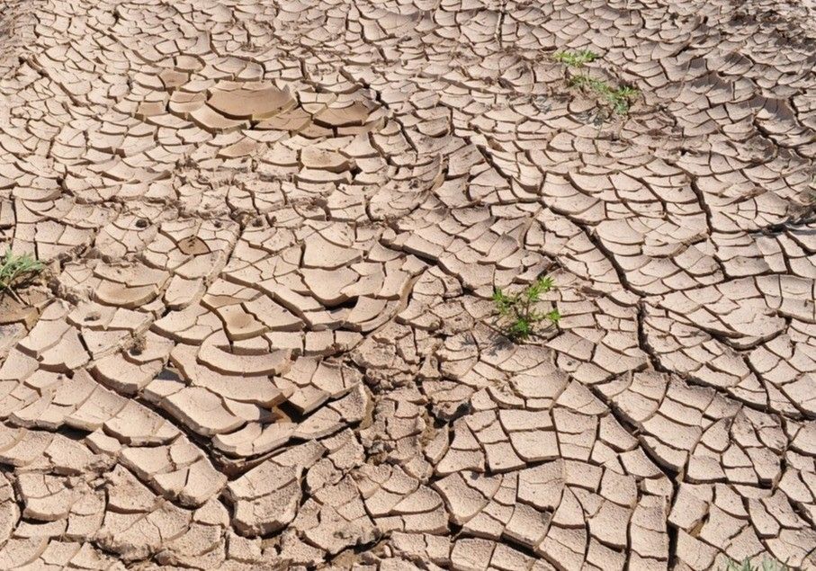 El Levante español se une contra el Plan Hidrológico del Tajo