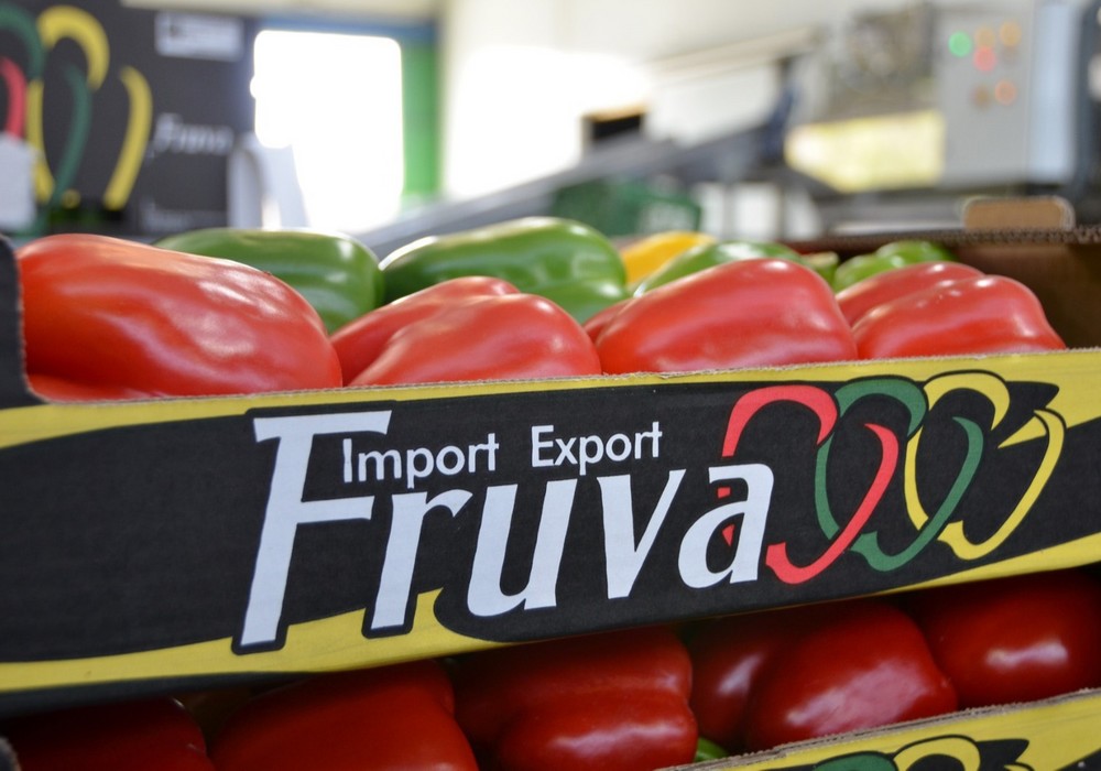 Import-Export Fruva ofrece producción de calidad los 365 días del año bajo una innovación continua y sostenible