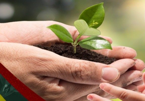 CULTIFORT: soluciones ecológicas ‘made in Spain’ con presencia internacional