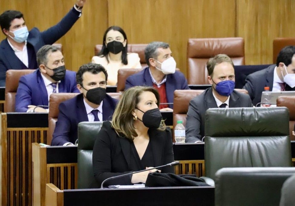  El Pleno del Parlamento convalida el decreto ley que amplía las medidas urgentes para paliar los efectos de la sequía en Andalucía