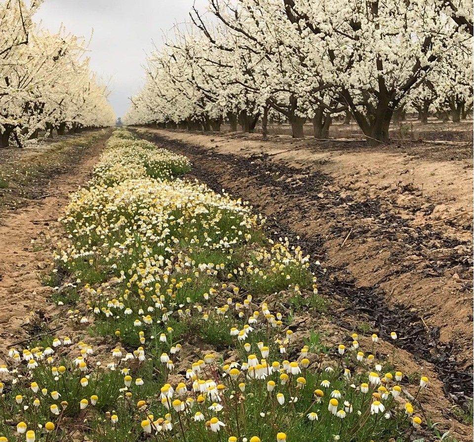‘Desafío de Biodiversidad Agrícola’, concurso  fotográfico para fomentar el conocimiento sobre biodiversidad en explotaciones agrícolas