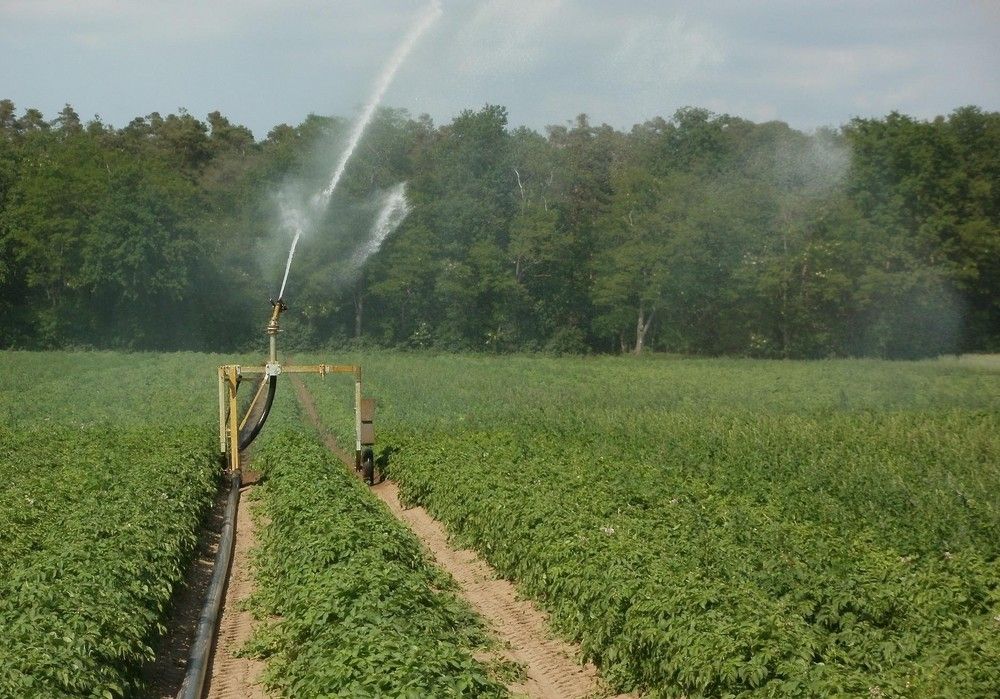 La Junta respalda el uso eficiente del agua  y de la energía en el campo con 40,5 millones