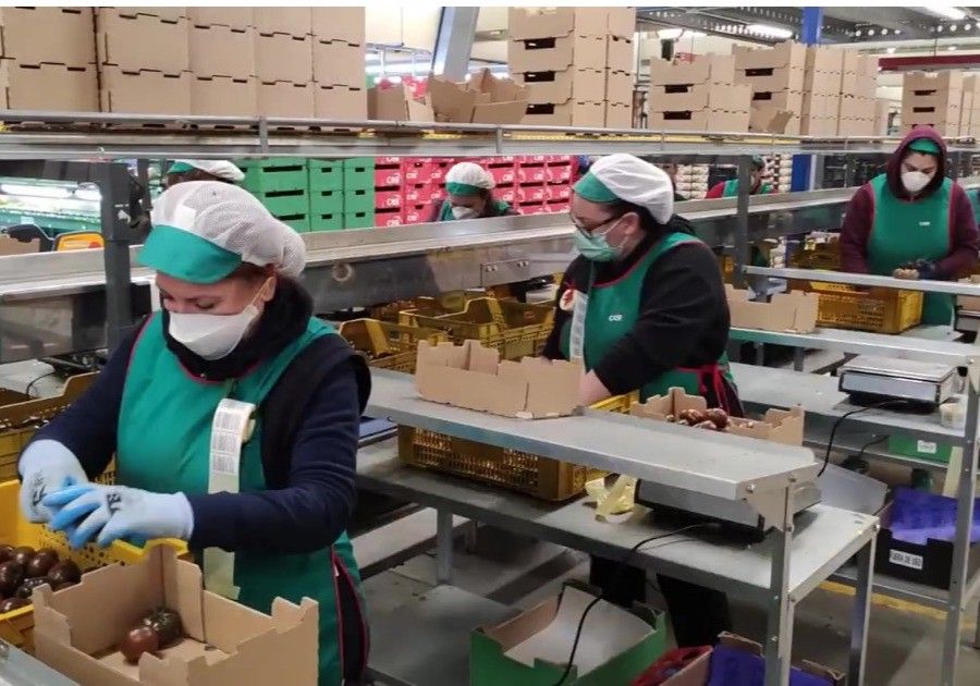 COEXPHAL recomienda el uso de mascarillas en almacenes de manipulado