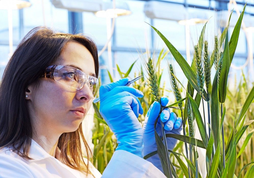 BASF presenta su próxima cartera de innovaciones para la agricultura que favorecerá la seguridad alimentaria, la lucha contra el cambio climático y la protección del medioambiente