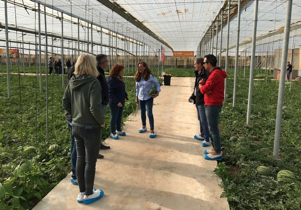 BASF ha organizado una jornada de campo para mostrar los excelentes resultados de Bengala F1, en su décimo aniversario