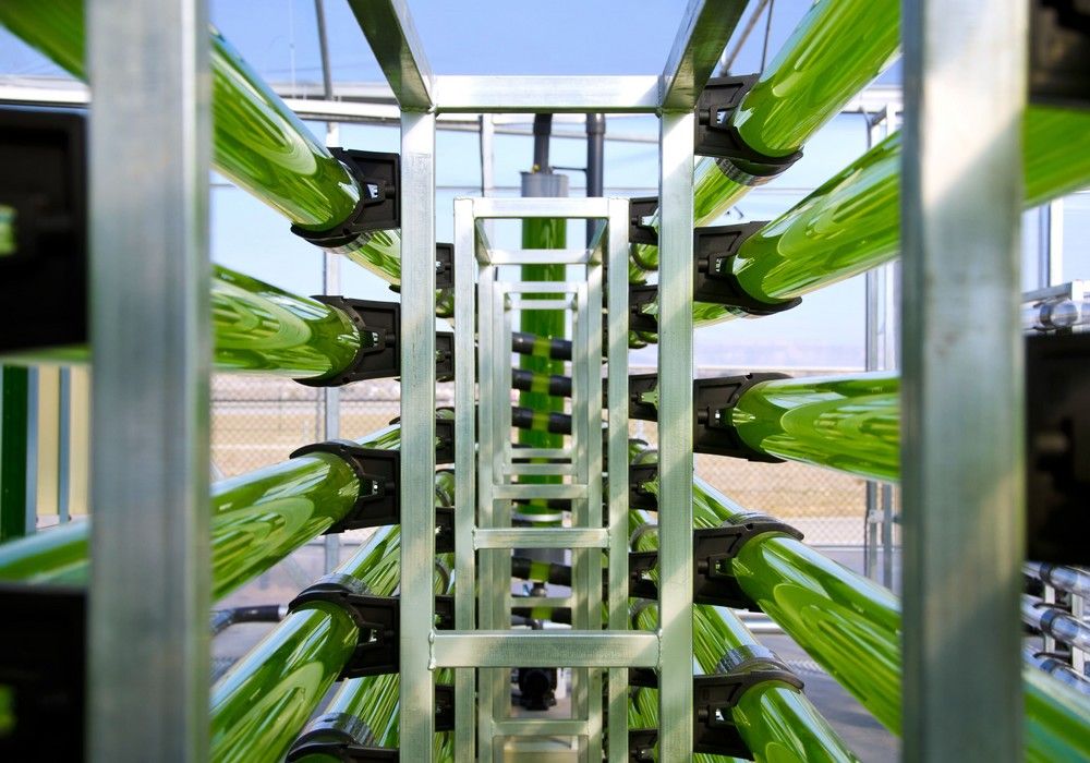 AlgaEnergy recibe el Premio CEPYME Desarrollo Internacional