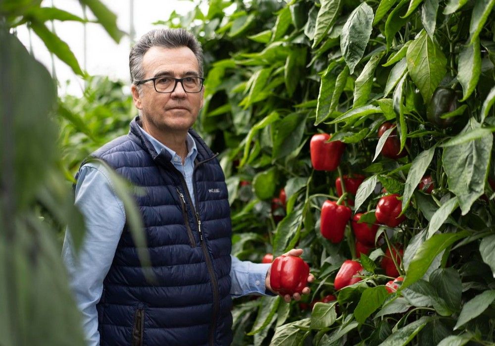 HM.CLAUSE sigue aportando valor en pimiento con su amplio catálogo