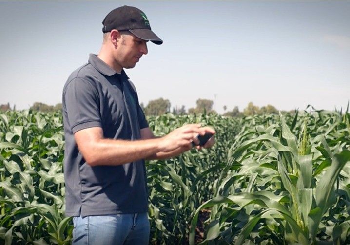 La aplicación Croptune es clave para la identificación de carencia de nutrientes