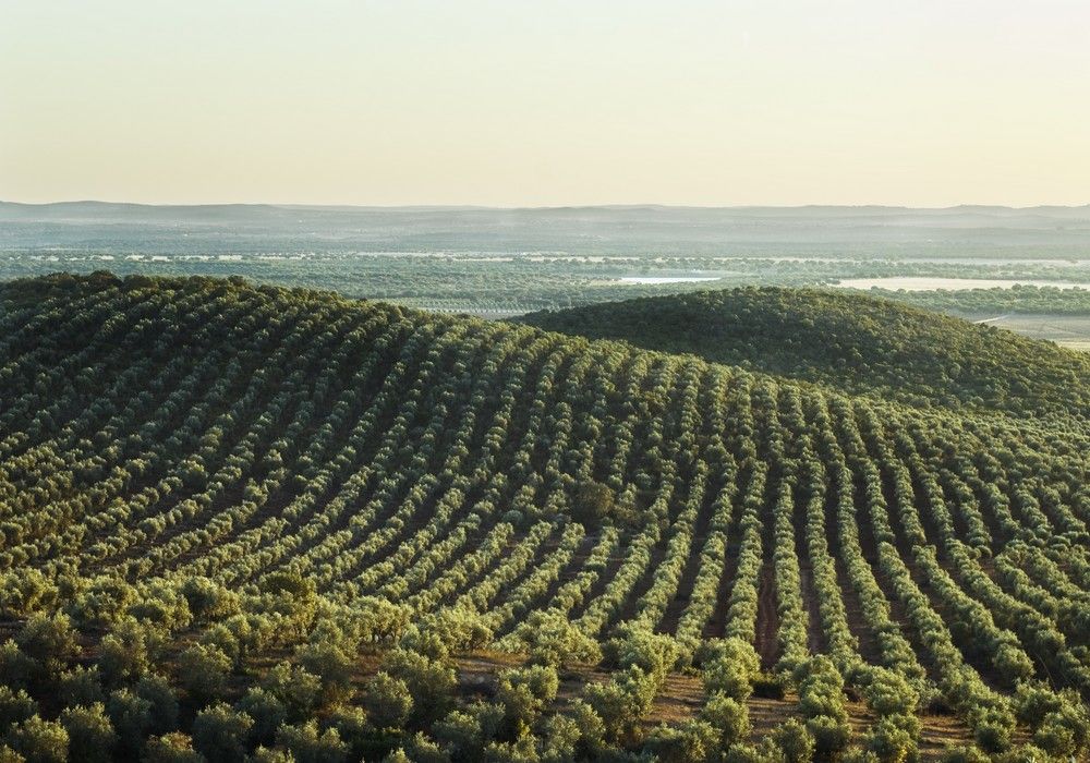 El Ministerio de Agricultura destina 2 millones de euros a programas de formación para el medio rural