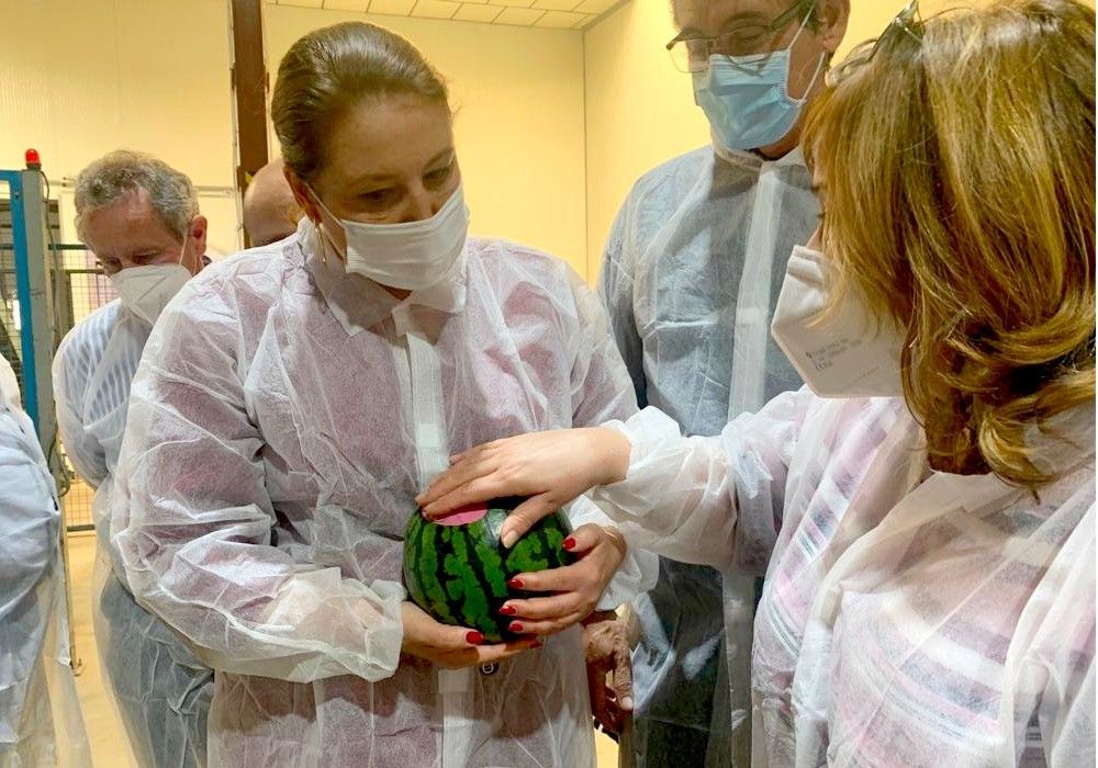 Crespo amadrina el arranque de la campaña de primavera y subraya que la primera sandía que llega al mercado europeo se cultiva en Almería