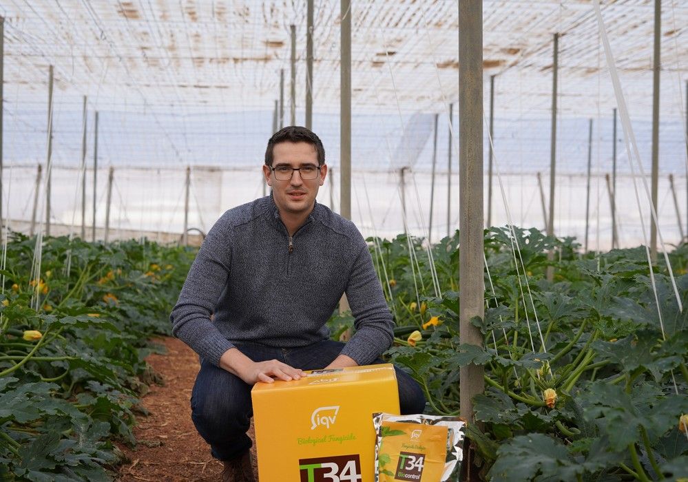 Control sostenible y ecológico de plagas y enfermedades en hortícolas con PIREVALLES®, T34® BIOCONTROL y CURENOX® 50 WP