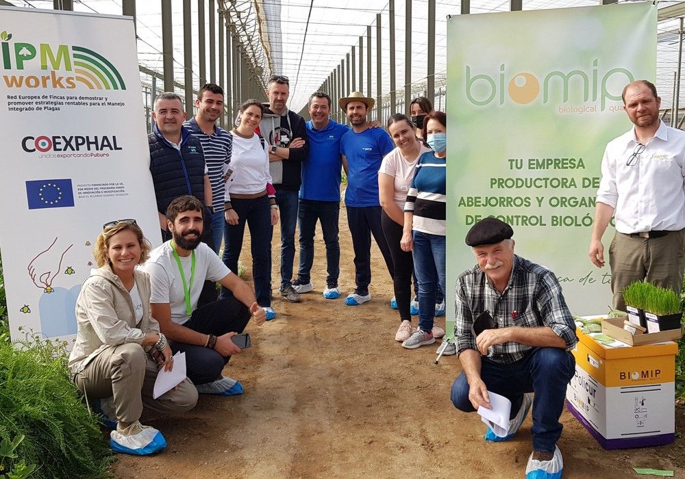 Una jornada de IPMWorks sobre control biológico de pulgón en melón demuestra su efectividad