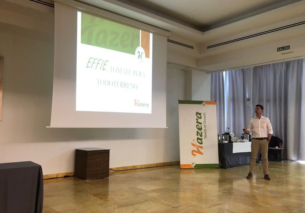 Hazera España ofrece una charla informativa sobre el ToBRV y presenta su variedad de tomate pera Effie