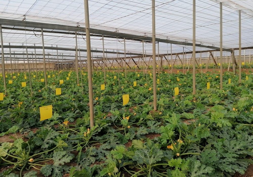COAG Almería cuestiona los criterios de acceso a los Fondos Next Generation al no adecuarse a la agricultura almeriense