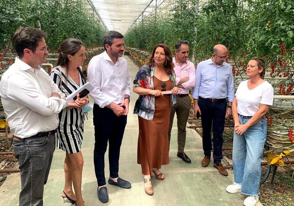 Abierto el plazo para solicitar ayudas dirigidas a disminuir la dependencia energética del regadío