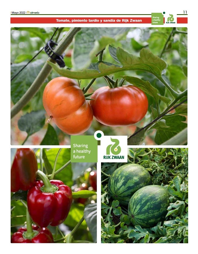 Mayo 2022|| Especial tomate, pimiento tardío y sandía de Rijk Zwaan