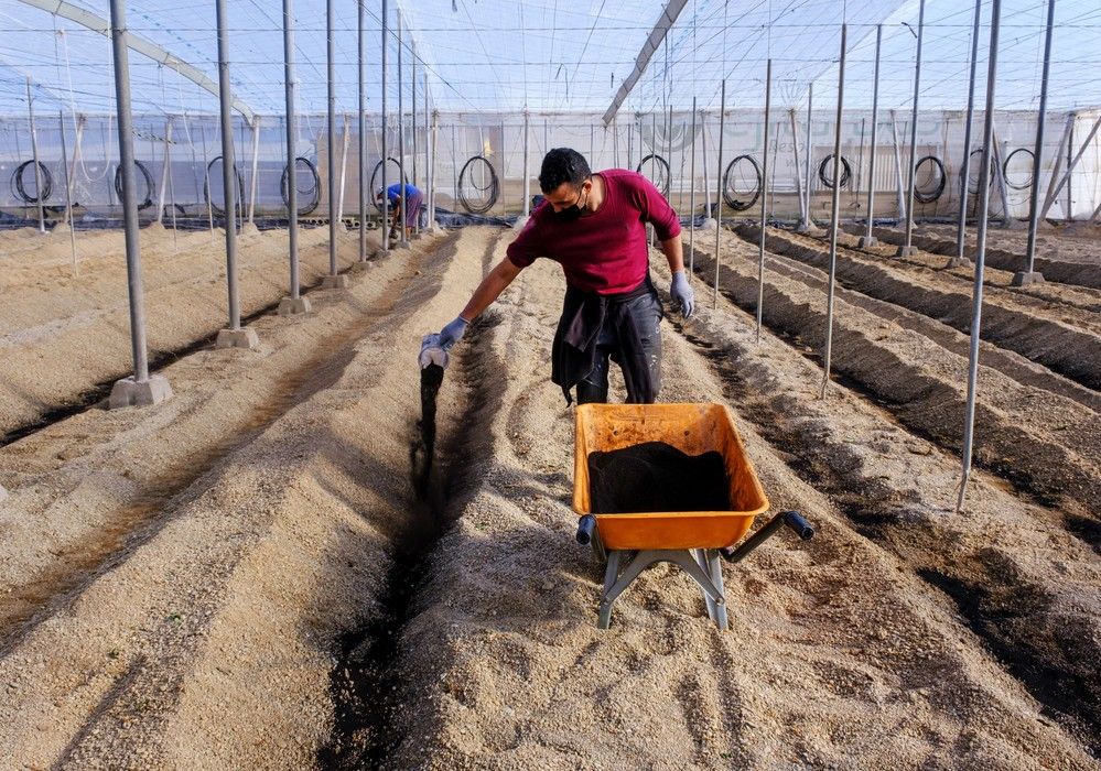 Novihum garantiza la actividad eficiente de los suelos agrícolas