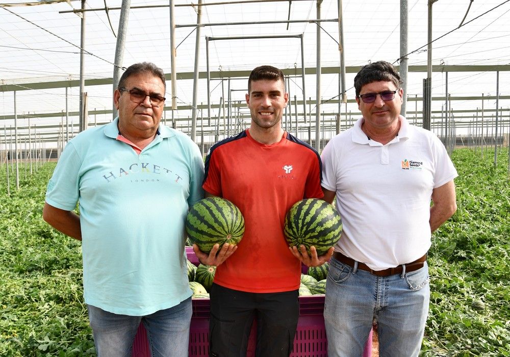 Diamond Seeds apuesta en su catálogo de sandía por el sabor
