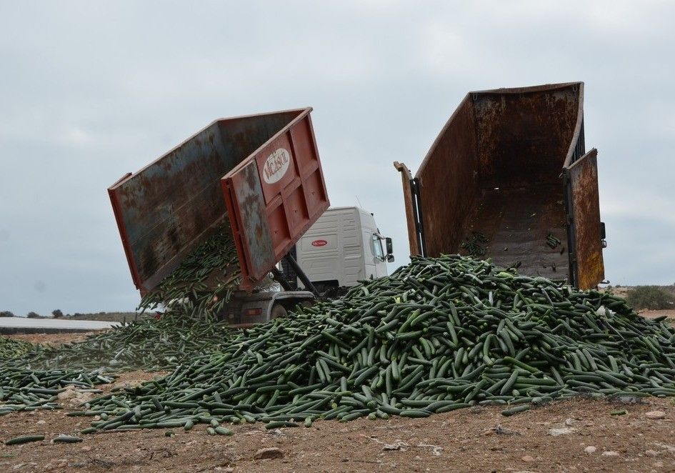 El Gobierno aprueba una ley contra el desperdicio alimentario