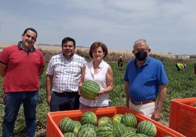 ASAJA asegura que el inicio de campaña de sandía al aire libre está marcado por un incremento del 30% de los costes de producción