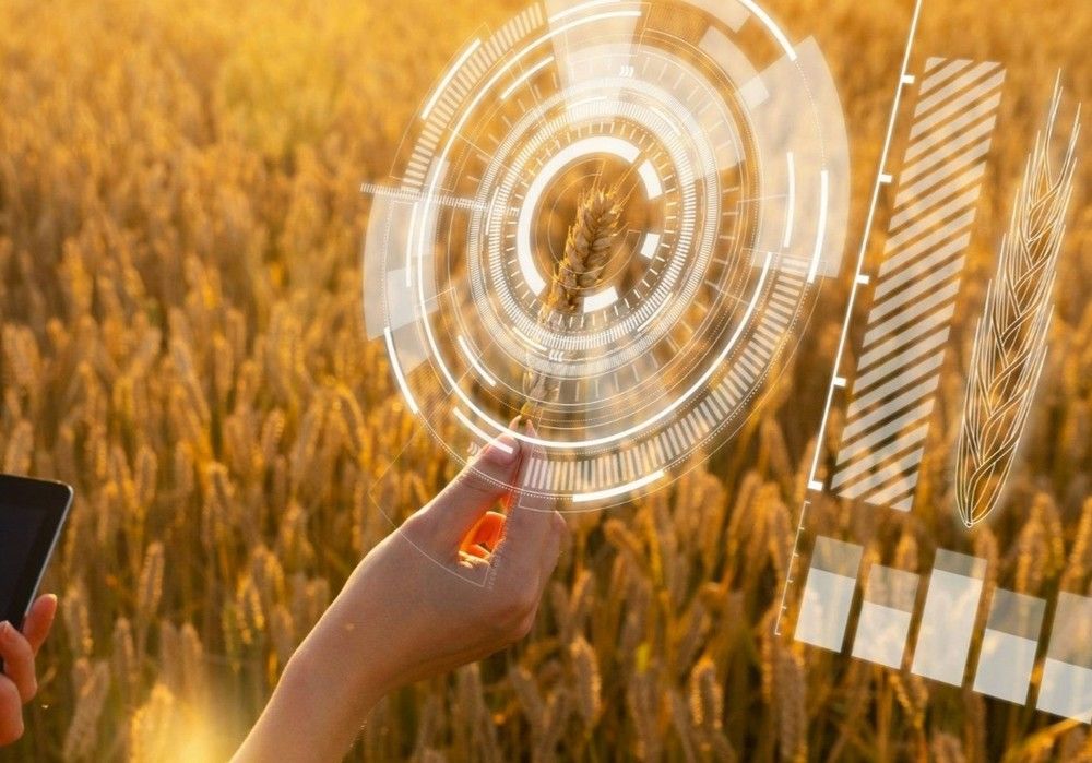 Syngenta elige Madrid como sede para localizar su Digital Hub internacional ‘Techfarm’