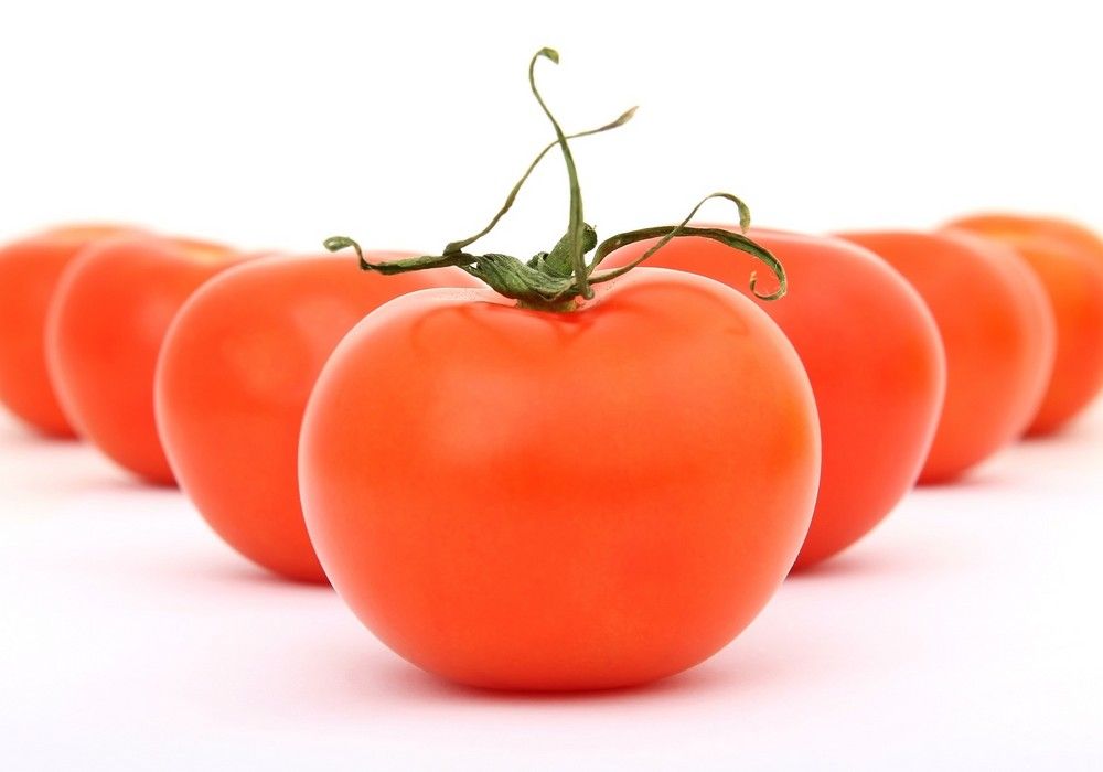 Excelente semana para el tomate que sitúa la mayoría de tipologías por encima del euro