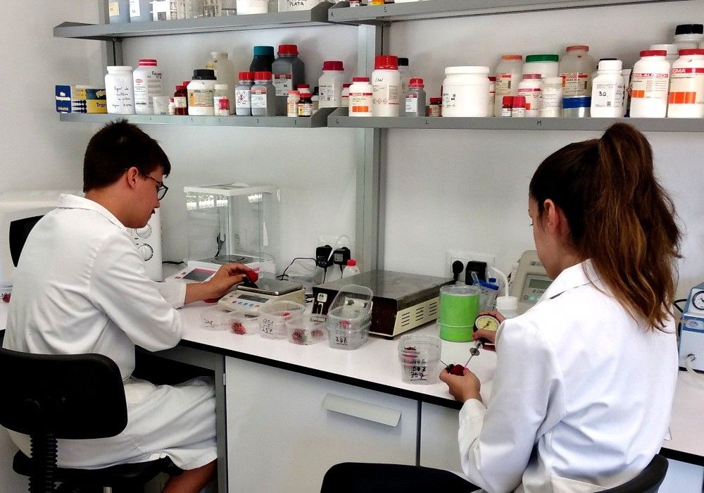 Ifapa investiga el carácter saludable de distintos alimentos en base a sus compuestos bioactivos
