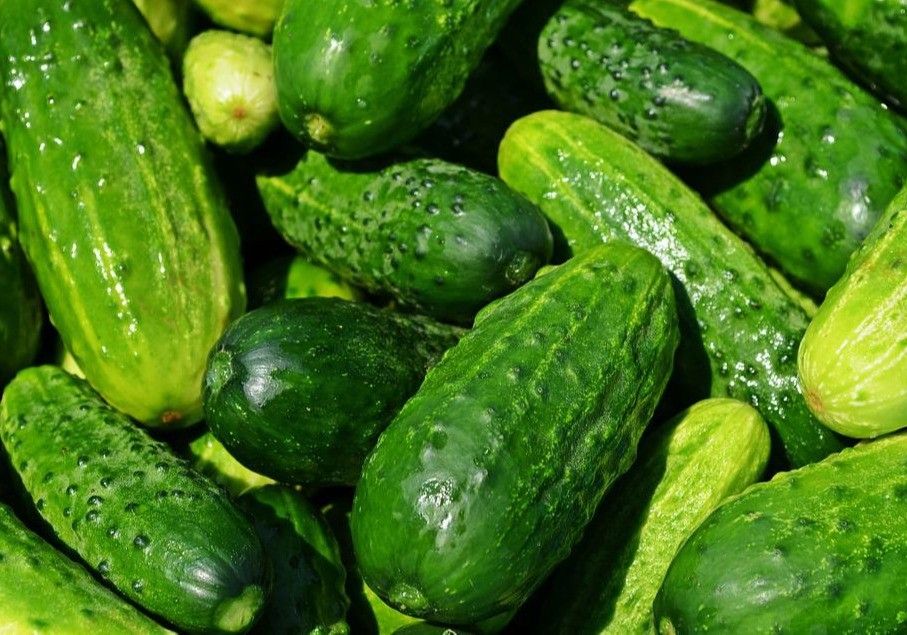 La Junta atiende una reivindicación histórica del sector hortofrutícola con la publicación inminente en el BOJA de la extensión de norma