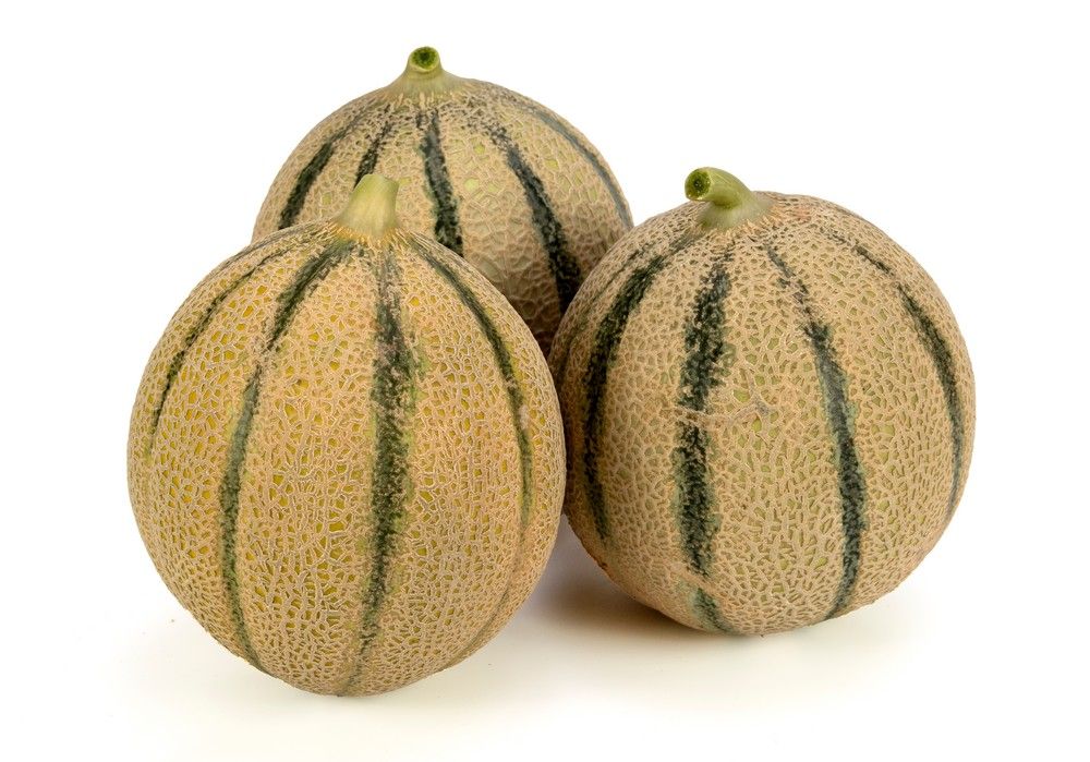 Pearl, la gama de melón cantaloup de BASF que no defrauda al consumidor