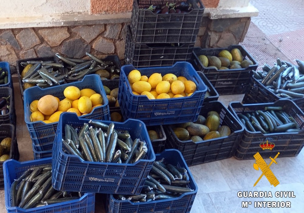 La Guardia Civil investiga a dos personas que transportaban más de 350 kg de hortalizas robadas