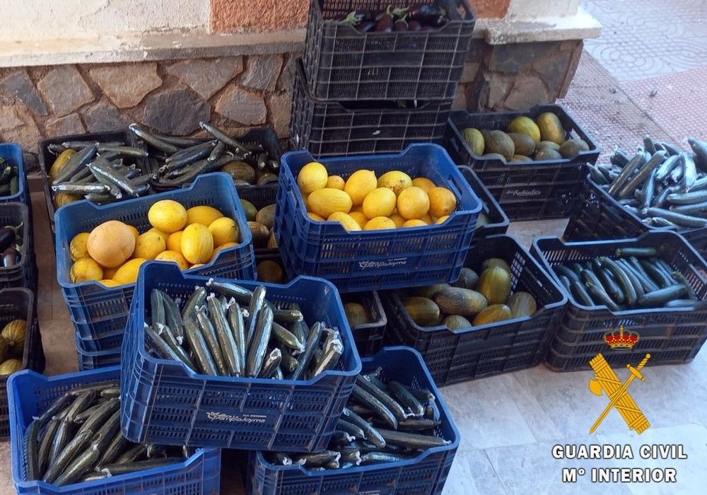 La Guardia Civil investiga a dos personas que transportaban más de 350 kg de hortalizas robadas