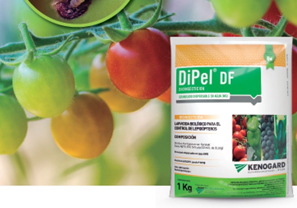 DiPel DF® y XenTari® GD: la mejor  Biosolución contra lepidópteros