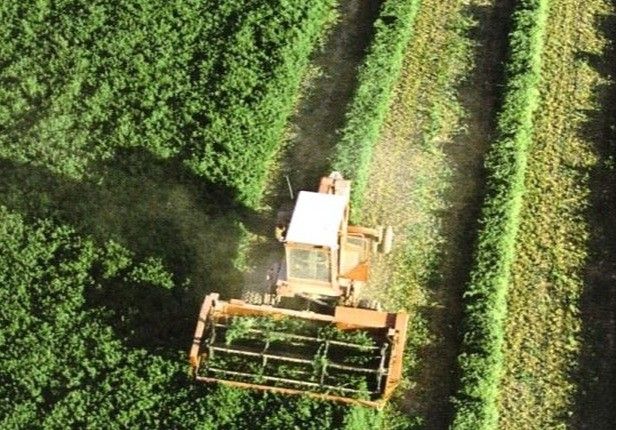 Los agricultores y ganaderos españoles podrán recibir hasta 3.386 millones de euros en pagos anticipados de la PAC