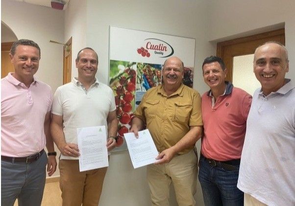 La alta tecnología de Cualin Quality y Rijk Zwaan impulsarán Reddery RZ de manera conjunta