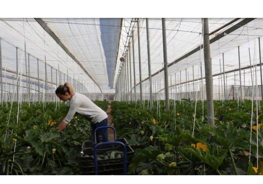 Las mujeres reciben menos de la tercera parte de las ayudas directas y de desarrollo rural de la PAC