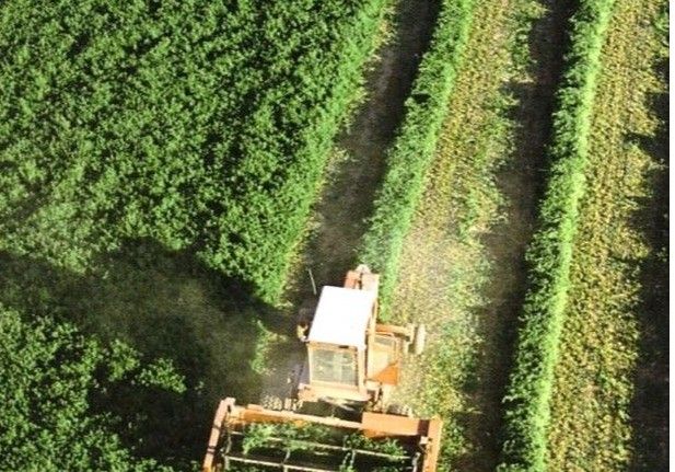 El Ministerio de Agricultura, Pesca y Alimentación acerca el conocimiento de los sectores agrario, pesquero y de la industria agroalimentaria