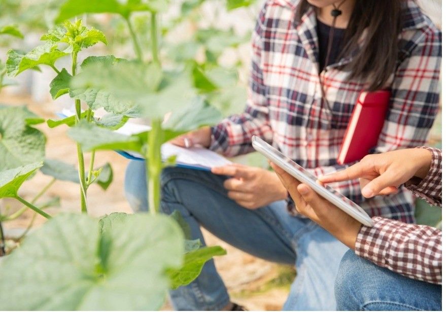 El Ministerio de Agricultura, Pesca y Alimentación abre la inscripción de la séptima edición del curso de emprendimiento en el medio rural