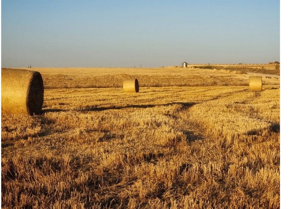 El Ministerio de Agricultura, Pesca y Alimentación asigna 13,8 millones de euros de la reserva nacional de pago básico para la instalación de nuevos agricultores y ganaderos