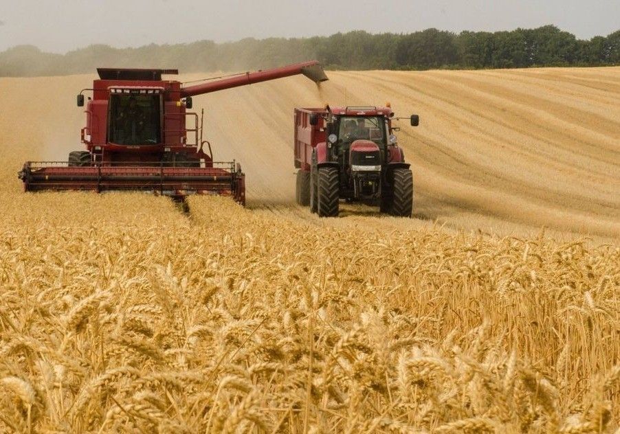 El Ministerio de Agricultura, Pesca y Alimentación publica la resolución definitiva de subvenciones a programas de formación para profesionales del medio rural
