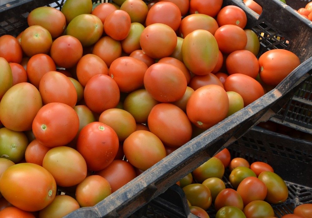ASAJA-Almería reclama “echar el freno” a la propuesta de limitar el precio de los productos básicos
