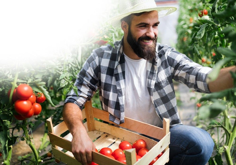 La agricultura ecológica  ha llegado para quedarse, de la mano de Herogra Especiales