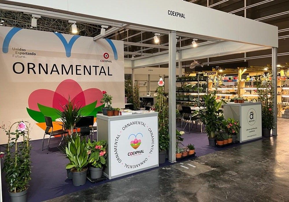 Las empresas de la sección ornamental de COEXPHAL afrontan una esperanzadora campaña tras Iberflora 2022