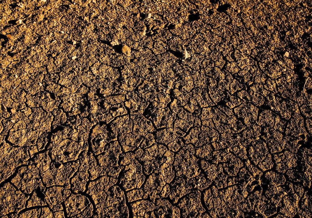 La Junta insta al Gobierno central a pedir ayudas  agrícolas europeas excepcionales por la sequía