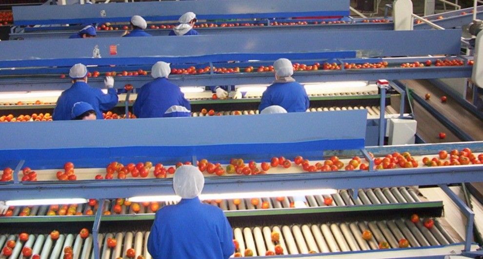 Entran en vigor los Reales Decretos sobre organizaciones de productores de frutas y hortalizas y fondos y programas operativos para adaptarlos a la nueva PAC