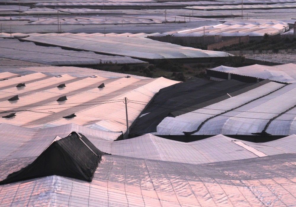 La superficie de invernaderos de Andalucía oriental roza las 37.000 hectáreas