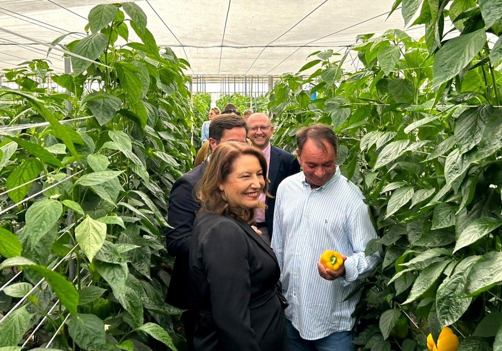  La Consejería impulsa DemoFarm para reducir la brecha digital y la huella hídrica del campo andaluz