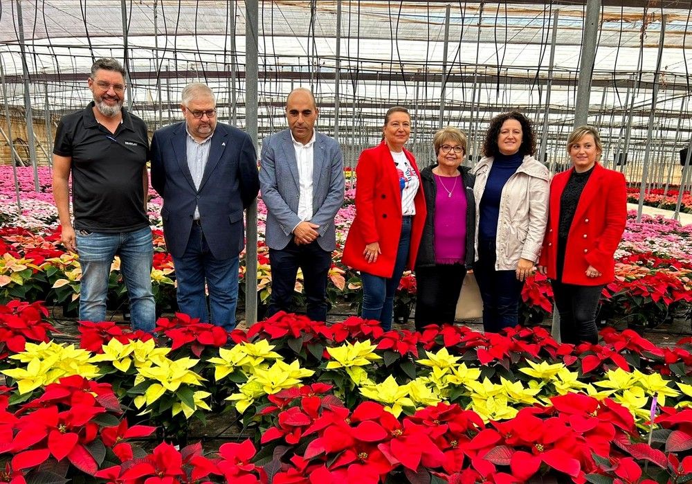 Almería produce 3,5 millones de Flores de Pascua que suponen el 33% del total nacional