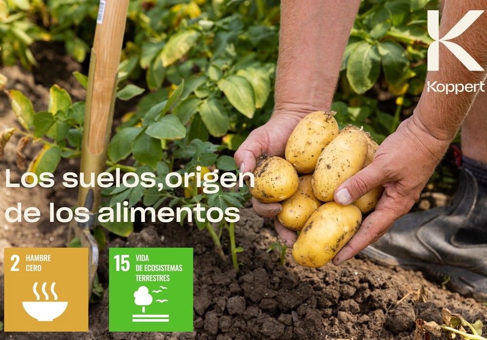 La pérdida de nutrientes del suelo amenaza la producción de alimentos